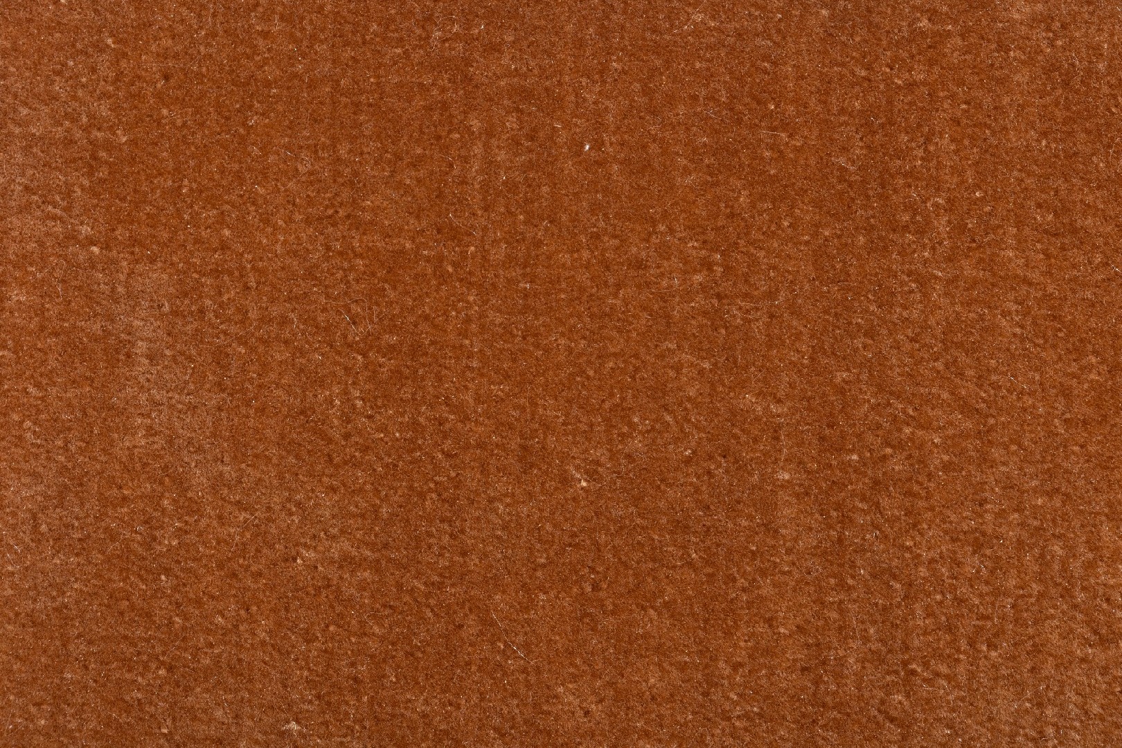 FL-W-205